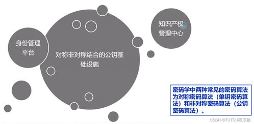 物聯網安全架構、基礎設施與安全軟件開發 構建可信的互聯世界